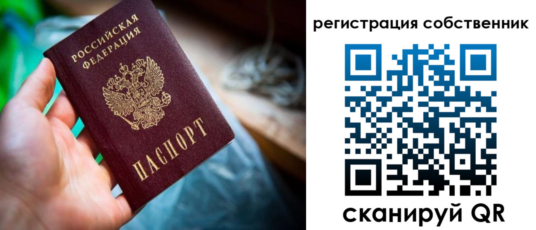 прописка гарантия в Дивногорске